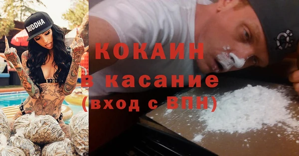сатива Костерёво