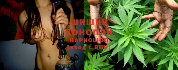 сатива Костерёво