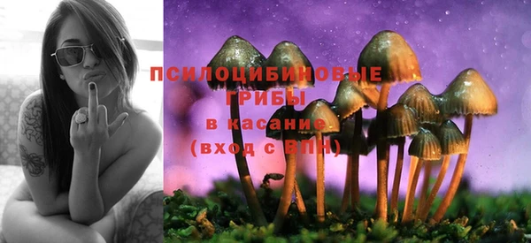 молекула духа Красноперекопск