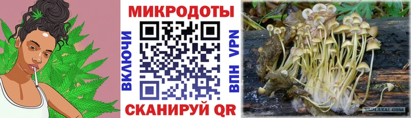 Галлюциногенные грибы MAGIC MUSHROOMS  Купить закладки  Белинский 